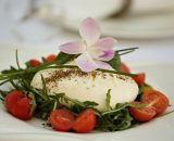 Burrata cu rucola, roșii cherry și pesto de busuioc